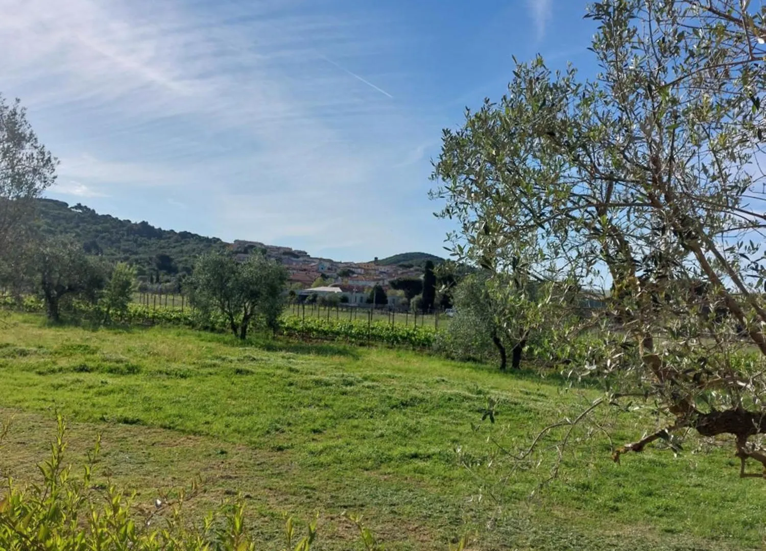 Bed and Breakfast Vento e Mare Riotorto Italia